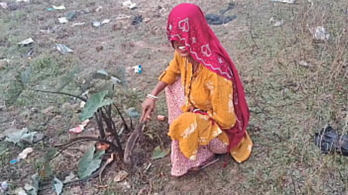 गर्म भारतीय लड़की हिंदी वेब सीरीज में एक फील्ड में एनल सेक्स का आनंद लेती है।