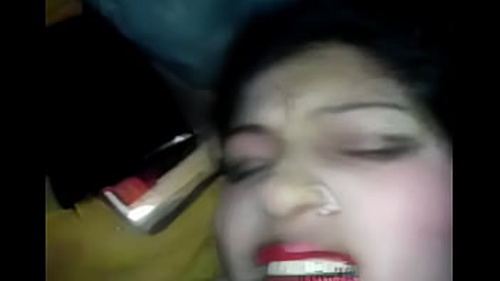मीठा भारतीय जोड़ा यौन गतिविधि में संलग्न होता है।